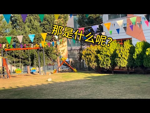 那是什么呢？#土耳其