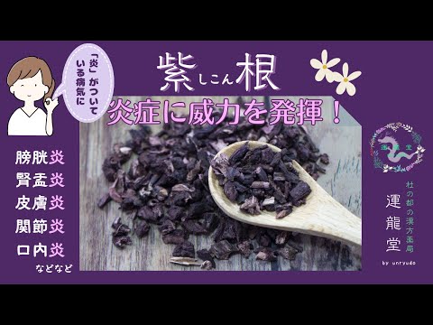 【驚きの効果】紫根（シコン）の力！美肌＆炎症ケアに効く秘密とは？