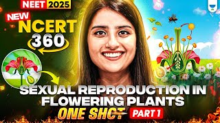 NEET 2025 Biology: Sexual Reproduction in Flowering Plants 3D| NCERT 360° Word-by-Word | Seep Pahuja