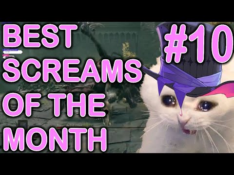 BEST SCREAMS OF THE MONTH | part 10 | February 2024 #gavisbettel #holotempus