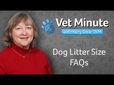 Dog Litter Size FAQs