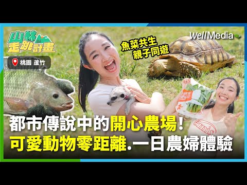 桃園最好玩親子景點！大人小孩的開心農場：魚菜共生鱸魚餵食、水耕種植體驗、可愛動物零距離接觸一次滿足！我們在#双源魚菜蚯共生農場玩瘋啦【山林走跳計畫】EP5(下集) @WellMediaGlobal