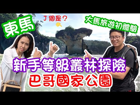 東馬古晉旅遊/巴哥國家公園叢林探險！{砂勞越/巴哥國家公園}/合在憶起去旅行/bako national park/婆羅洲旅遊