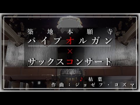 【築地本願寺パイプオルガン×サックスコンサート】枯葉