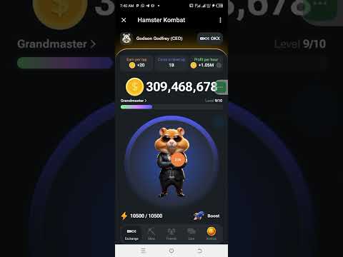 Hamster Kombat profit per hour. and how you can maximize your earnings