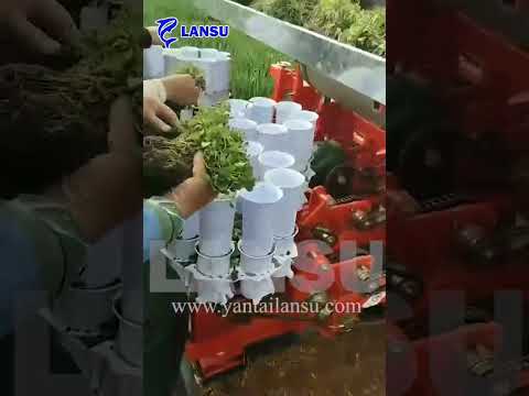 Professional LANSU Vegetable Seedling Transplanter by Tractor you will like !