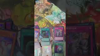 【遊戯王】遊戯王OCG デュエルモンスターズ RARITY COLLECTION - QUARTER CENTURY EDITION - 風霊媒師ウィンが欲しい【18BOX +遊戯王の日3P開封動画】