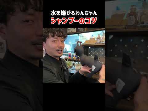 【トリミング】水嫌いなわんちゃんのシャンプーのコツをトリマーが解説