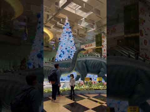 Dinosaurs at Changi Airport #travel #changi #singapore #dinosaurs #airport