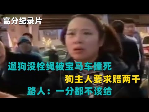 遛狗没栓绳被宝马车撞死，狗主人要求赔两千！路人：一分都不该给