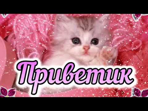 Приветик 💗 Я Скучаю 💖Я тебя Люблю💕Как дела 💖 Музыкальная открытка 💕