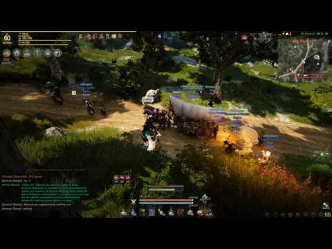 Black Desert - Idiots following the wrong wagon