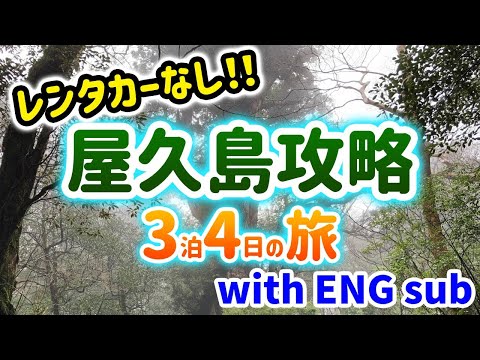 【屋久島】縄文杉と白谷雲水峡を巡る3泊4日の旅（レンタカーなし）English sub