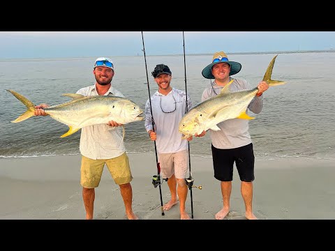 BEACH Fishing For GIANTS {Catch Clean Cook} Fish That Tastes Like BEEF?