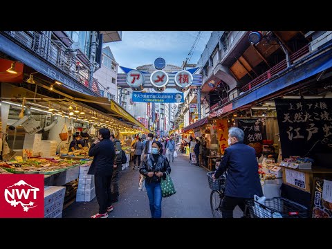 【4K HDR】 Walking Around Tokyo Ueno, Spring 2021