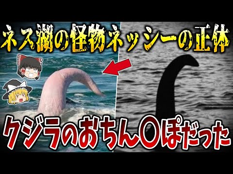 【ゆっくり解説】ネス湖の怪物「ネッシー」の正体が判明！？ネス湖全体をDNA調査で解析した結果・・・