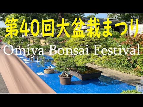 40th Omiya Bonsai Festival 2023 - 第40回 大宮 大盆栽まつり