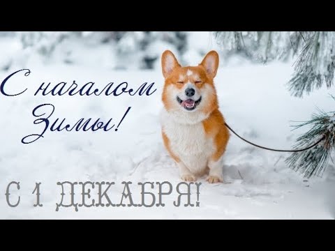 ❄️С первым днём зимы❄️ Музыкальная открытка