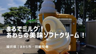 福井県あわら市のまるでミルクなソフトクリームは、後味すっきりでおススメ！