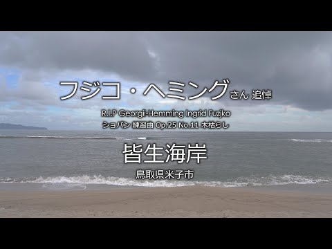 【フジコ･ヘミング 追悼】【日曜深夜名曲 vol.304】皆生海岸 (鳥取県米子市) | 木枯らし (ショパン練習曲 Op.25 No.11)