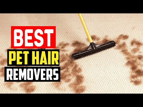 ✅Best Pet Hair Removers in 2023