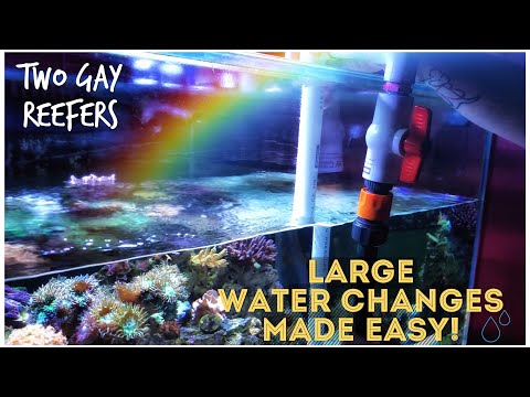 Large Water Changes Made Easy - Using a Pump From IBC to Tank