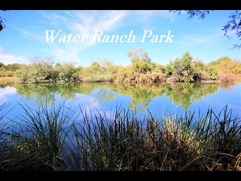 Riparian Preserve - Gilbert AZ