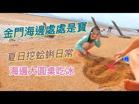 金門海邊處處是寶｜ 挖蛤蜊日常｜超好吃的海邊大圓桌雪花冰｜野生手炒桑椹｜小金門綿密芋頭冰