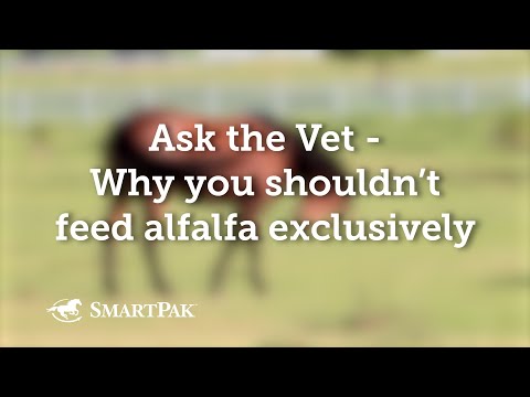 Ask the Vet - Why you shouldn't feed alfalfa exclusively