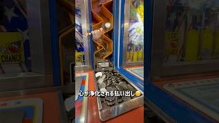 メダルの出方がヤバい台…#ゲーセン#メダルゲーム#爽快#shorts