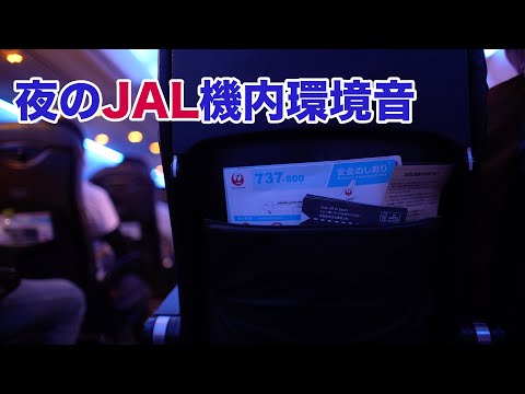 【立体音響】夜のJAL環境音 通路席 Relaxing sound of Japan Airlines B737-800 Seat：22H(Aisle) #飛行機に乗っている気分になれる動画 #38