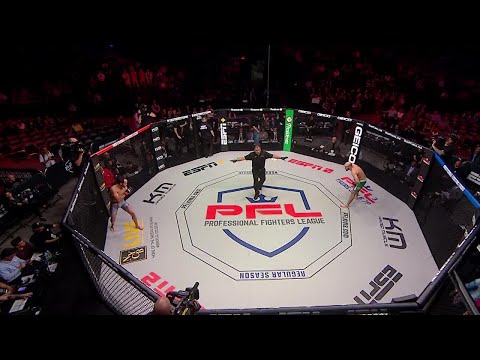 Is the most BRUTAL flying knee KO? #MMA #PFL #Shorts