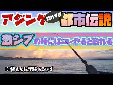 【アジング】釣れすぎ都市伝説！激シブでもコレやると釣れる！？(皆さんも経験あると思います)