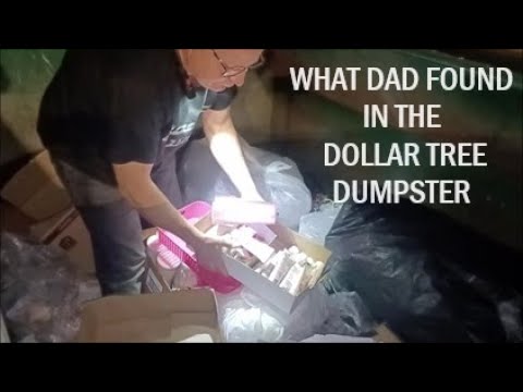 DUMPSTER DIVING at Dollar Tree for Treats and Goodies!