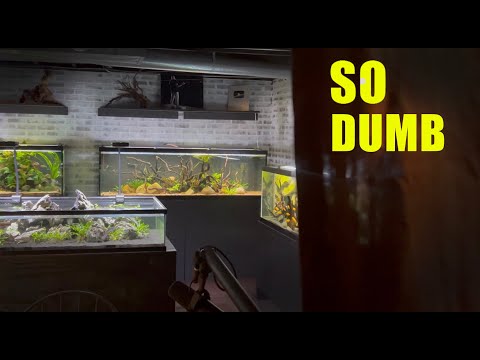 Some DUMB Improvements To Make on Your Aquariums | Be A Happier Fishkeeper!