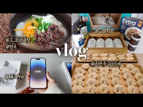 Meal Prep For WinterㅣInstant Pot Oxtail Soup & Mandu (Dumplings), iPhone 14 Pro, Low FODMAP Recipe