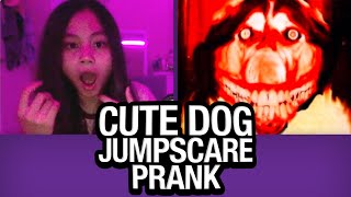 Cute Dog JUMPSCARE PRANK on Omegle!