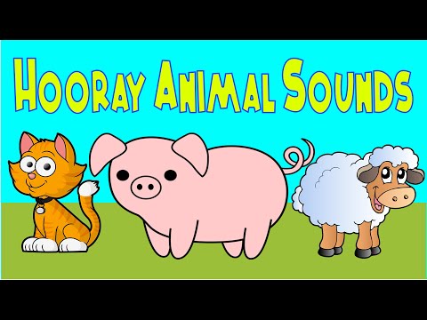 Hooray Animal Sounds | Nursery Rhymes | LittleKidsTV