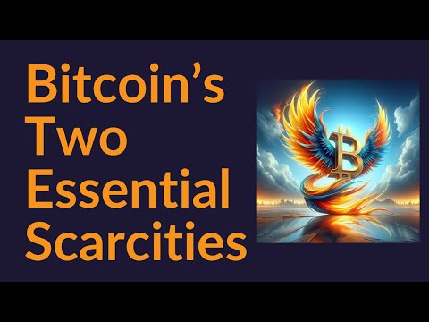 Bitcoin's Two Essential Scarcities