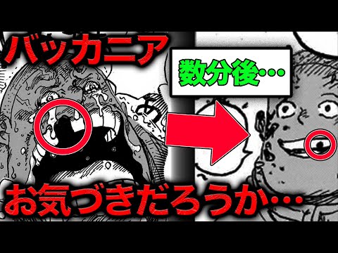 知らないとこの先のワンピースは読めません…くまの本当の正体【ワンピース　ネタバレ】