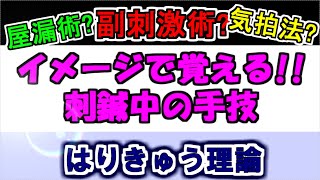 【鍼灸国家試験対策】イメージで覚える!!刺鍼中の手技 はりきゅう理論