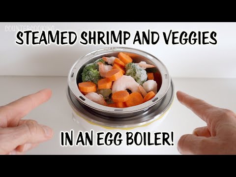 Making Steamed Shrimp And Veggies In An Egg Boiler! - Solar Cooking - EcoFlow River Pro