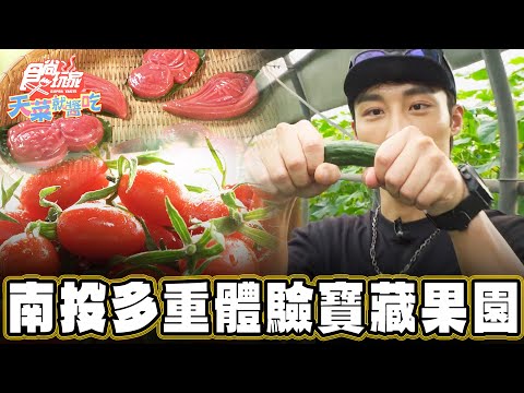 【南投】多重體驗的寶藏樂園【食尚玩家天菜就醬吃】20241219 (1/3)