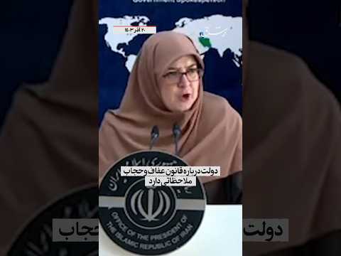 دولت به عنوان مجری قانون، ملاحظاتی درباره طرح عفاف و حجاب دارد