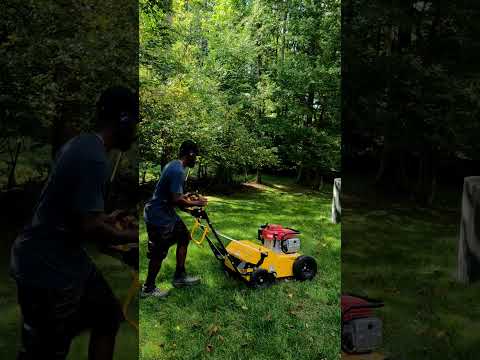 Improve Your Lawn This Fall Aeration and Overseeding | Stinger DUAL-AER  2475