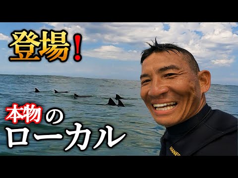 【一人でサーフィン中○○に遭遇！！】身体が固まって動けませんでした