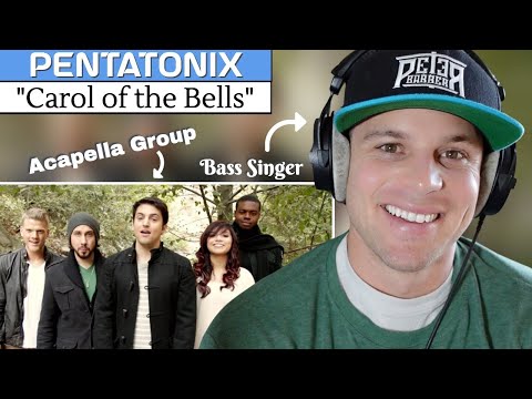 BASS SINGER hears "Carol of the Bells" for the first time! REACTION & ANALYSIS | Pentatonix