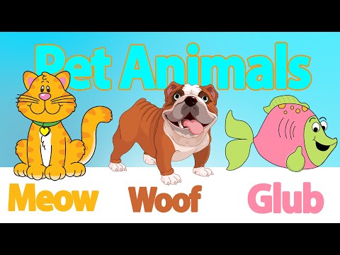 Pet Animals Song | Animal Sounds Song | LittleKidsTV