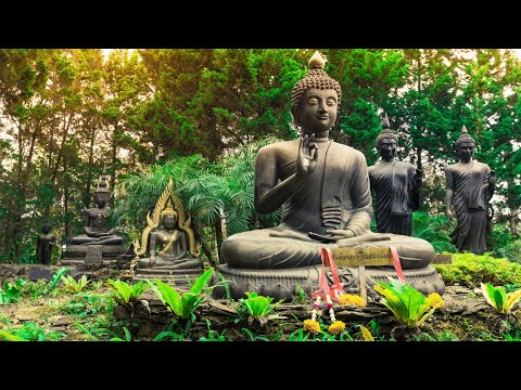 Buddha's Flute : Soothing Forest Flutes | Healing Music for Meditation and Inner Balance