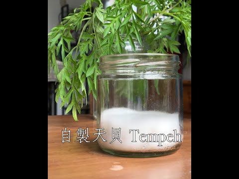 #Shorts 自製印尼發酵食品- 天貝 Tempeh | 一天一分鐘 Day 27